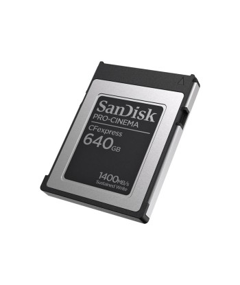 Sandisk Pro-Cinema 640GB